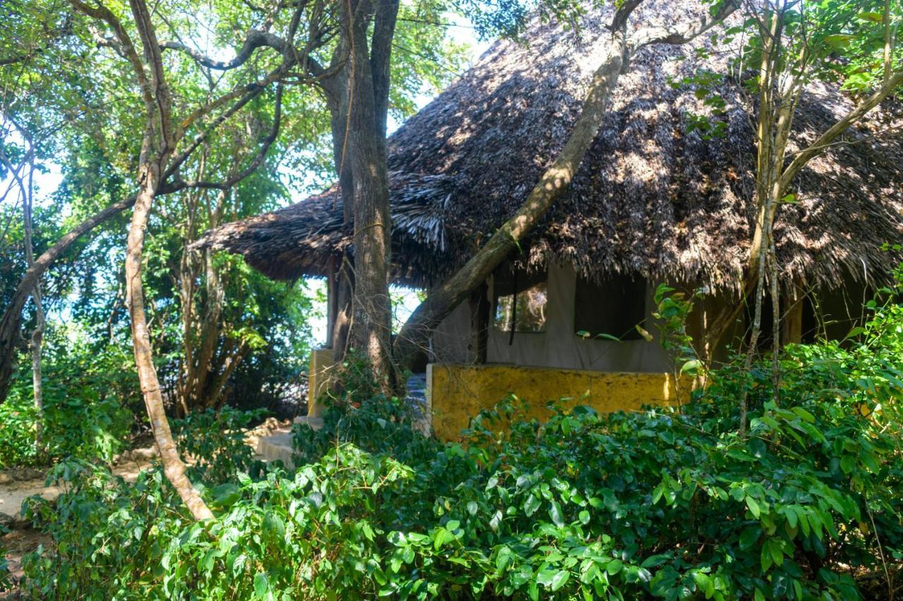 Villa Firefly Eco Retreat Shimoni Esterno foto